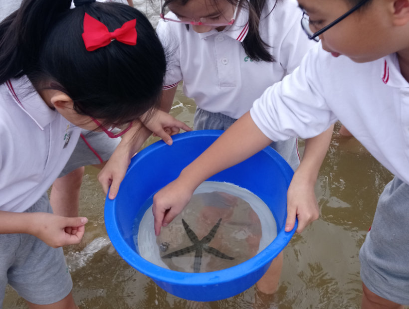 海洋探索家